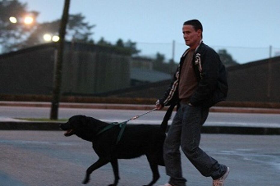 Estripador, absolvido, moirte Filipa Ferreira, Cacia