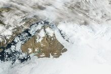 degelo, artico, mamiferos, aquecimento global