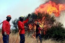 Fernando Marinho, Patrick Teixeira, GNR, incendiários, fogo, incêndio, Ministério Público