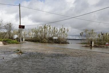 meteorogia, mau tempo, estradas, Reguengo do Alviela, caminhos, Autoridade Nacional de Proteção Civil