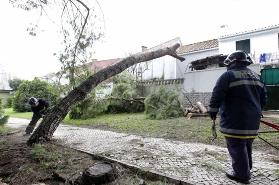 meteorologia, mau tempo, estragos, Portugal, alerta máximo, fim de semana
