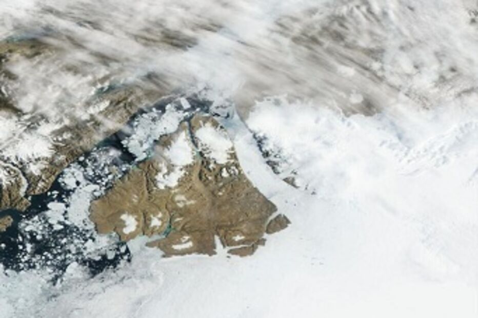 degelo, artico, mamiferos, aquecimento global