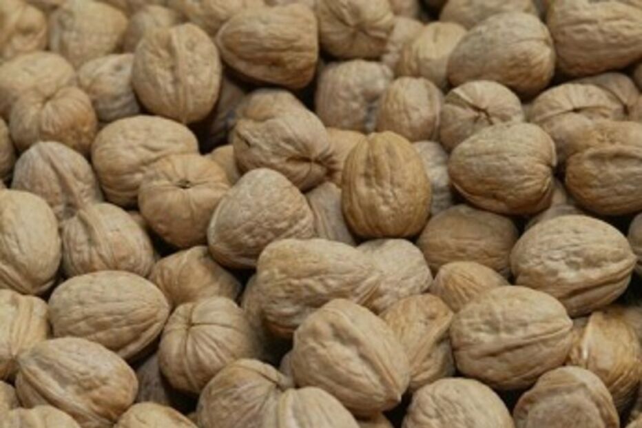 nozes, cancro do pâncreas, alimentação, investigação, estudo