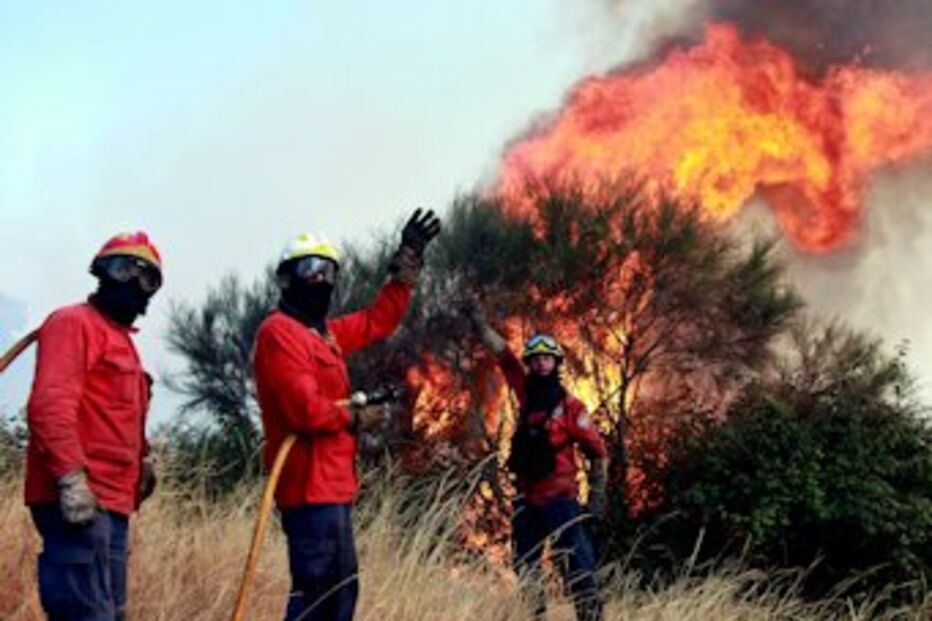 Fernando Marinho, Patrick Teixeira, GNR, incendiários, fogo, incêndio, Ministério Público
