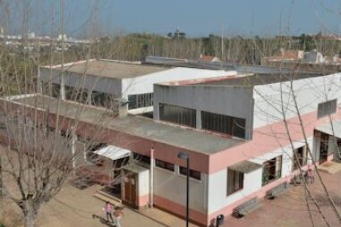 escolas, amianto, Vila Franca de Xira, fibrocimento, cancro