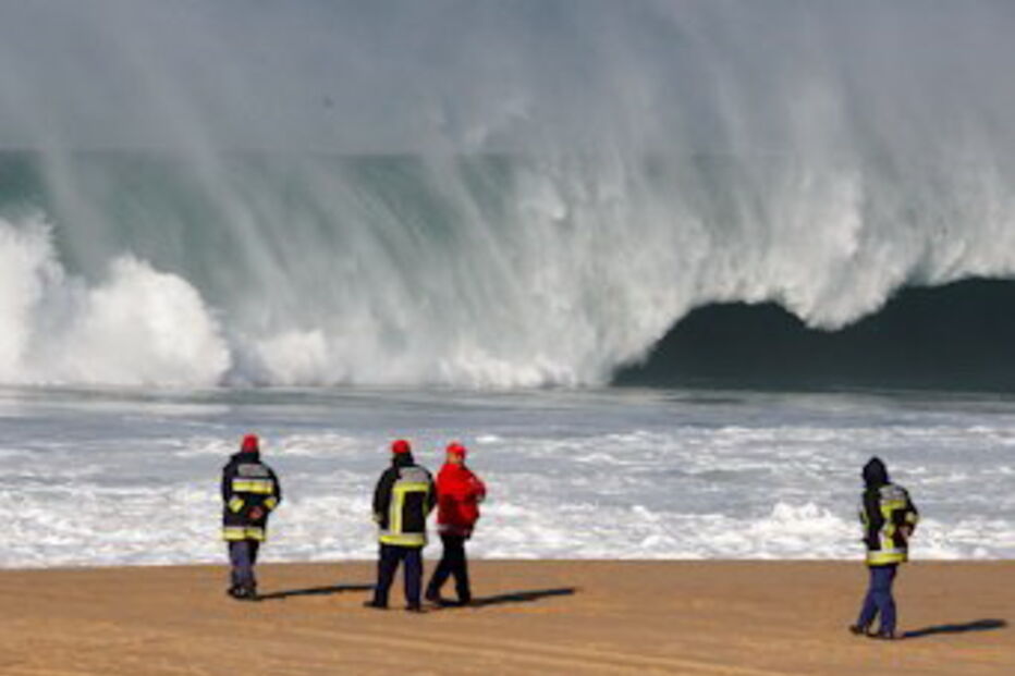 Meco, estudantes, vítimas, praxes, cemitério, Polícia JUdiciária, Universidade Lusófona
