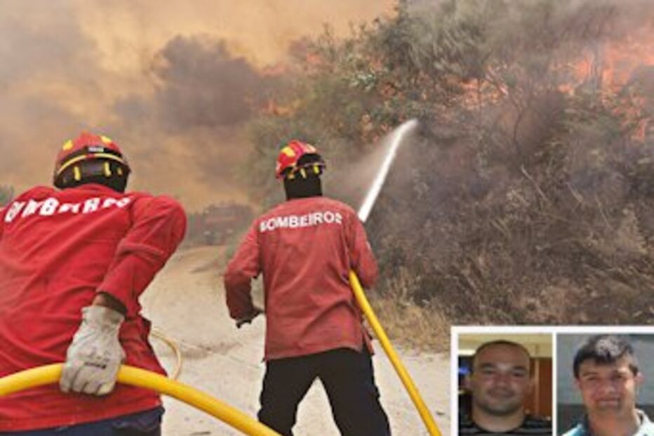 bombeiros, Serra do Caramulo, indemnização, incendiários, Fernando Marinho, Patrick Teixeira, Estado