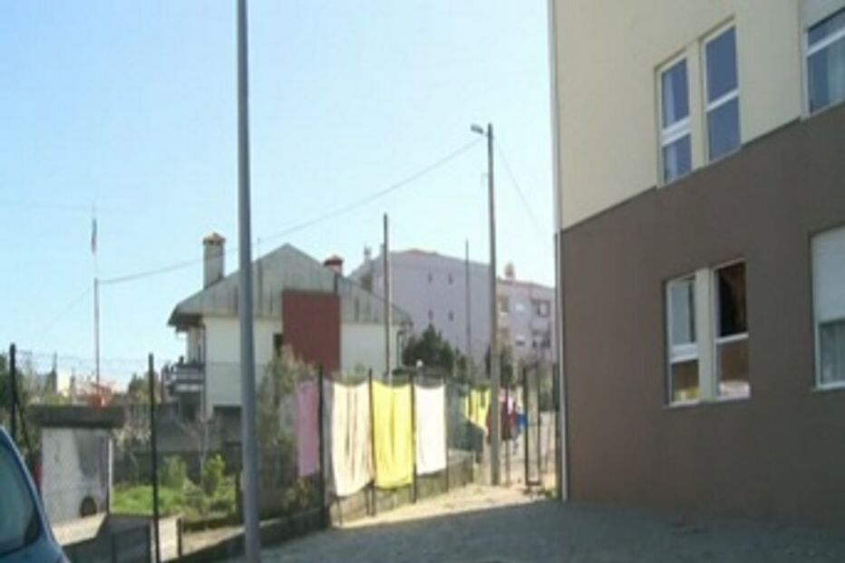 Valadares, cão, ataque, dono, criança, animal