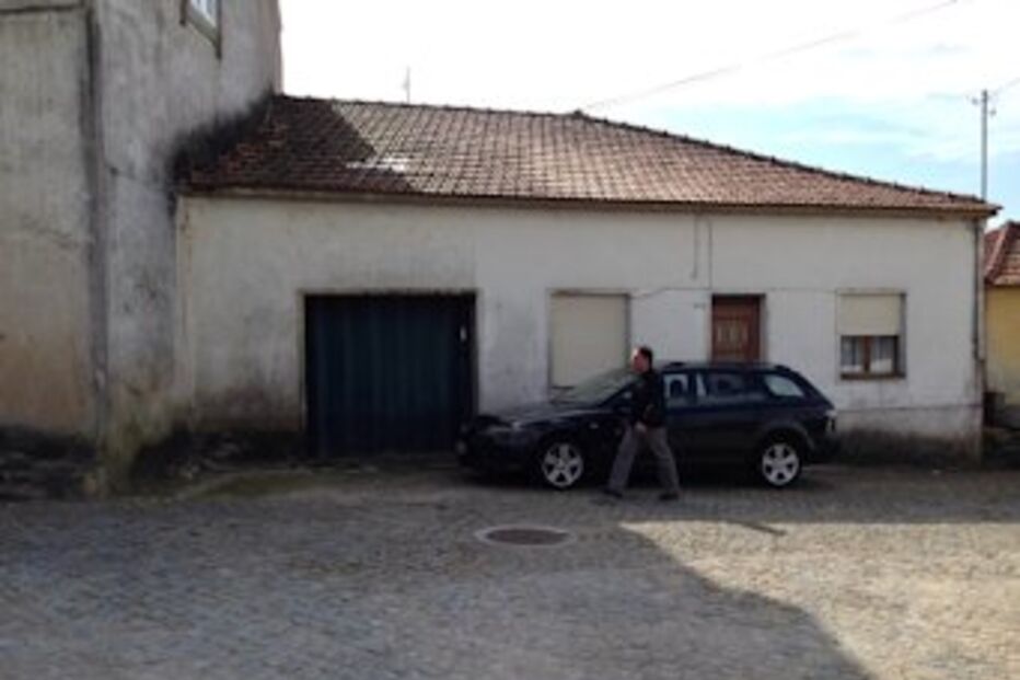 idoso, filhos, terror, assalto