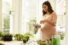 saúde, alergias, primavera, pólen, espirrar, dificuldades respiratórias, Anju Peters, professor de Medicina especializado em alergia e imunologia, medicina