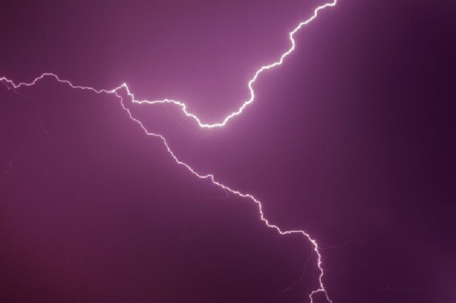 saúde, alergias, primavera, pólen, espirrar, dificuldades respiratórias, Anju Peters, professor de Medicina especializado em alergia e imunologia, medicina