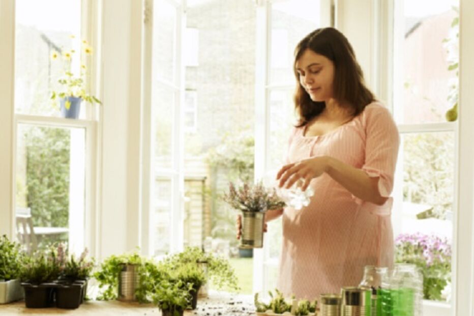 saúde, alergias, primavera, pólen, espirrar, dificuldades respiratórias, Anju Peters, professor de Medicina especializado em alergia e imunologia, medicina