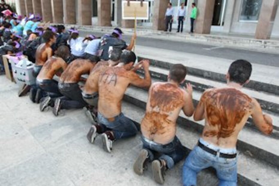 cds, quer, praxe, criminalizada