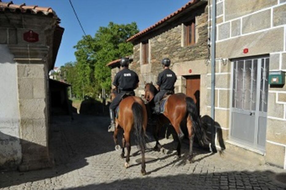 monstro, pistas, Palito, encontrar, Manuel Pinto Baltazar, escondido, São João da Pesqueira, concelho, Polícia Judiciária, PJ, Moimenta da Beira