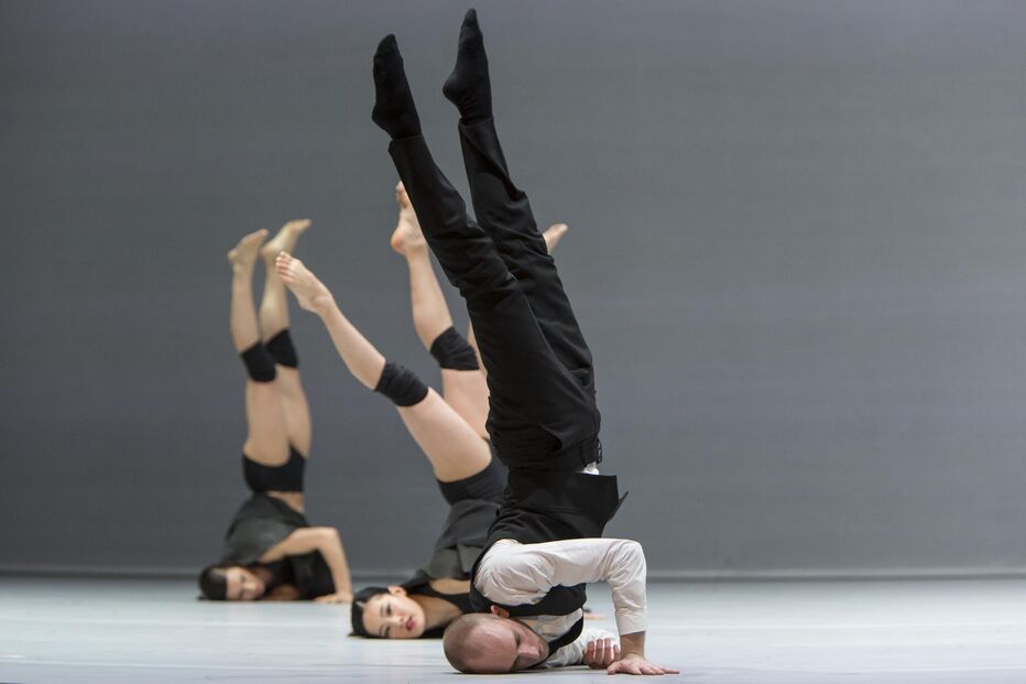 Cultura, Dança, Teatro Camões, Companhia Nacional de Bailado, Companhia de Dança de Gotemburgo