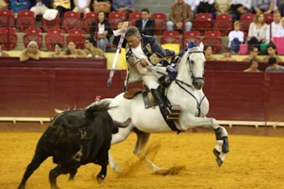 João Moura, acidente, cavalo, Monforte, hospital, traumatismo cranioencefálico, Portalegre, São Francisco Xavier, TAC