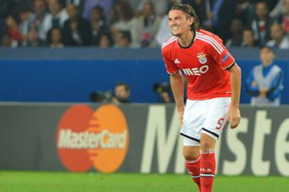 fejsa, lesão, obriga, benfica, ir, mercado