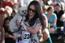 EUA, cães, feios, concurso, Califórnia