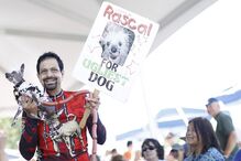 EUA, cães, feios, concurso, Califórnia
