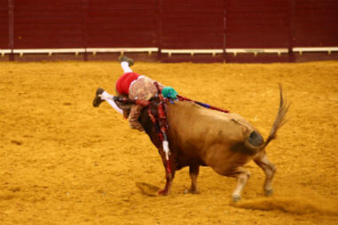 Corrida, Campo Pequeno, Flash, Toiros, Cavaleiros, Forcados