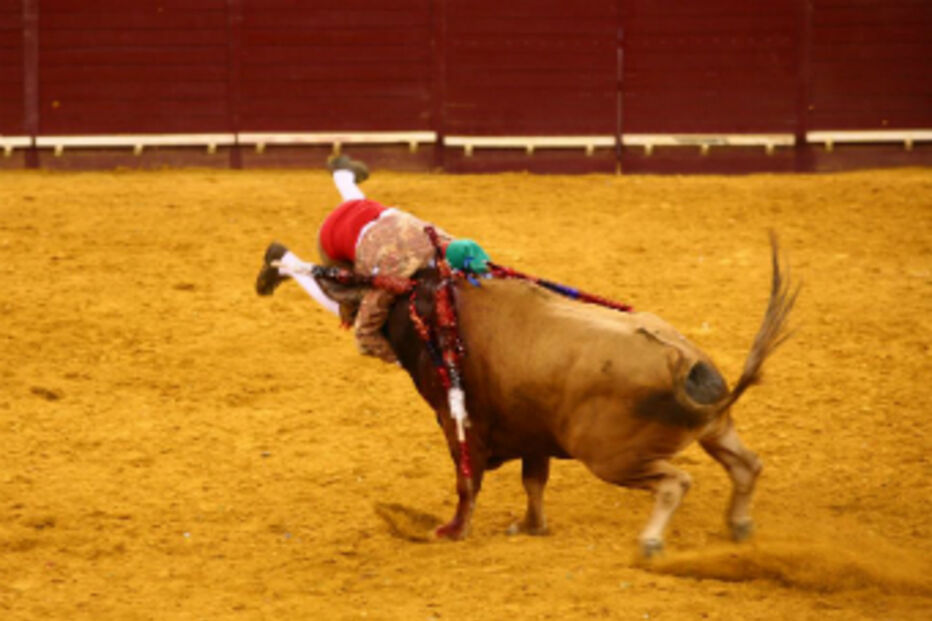 Corrida, Campo Pequeno, Flash, Toiros, Cavaleiros, Forcados