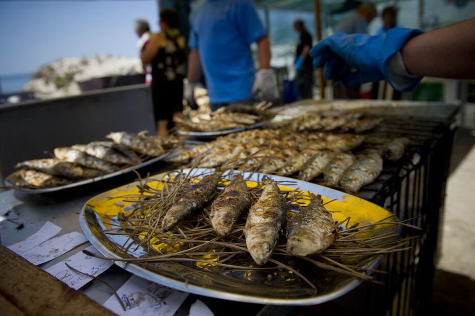 sardinha, santos populares, Sesimbra, lota, faina, venda