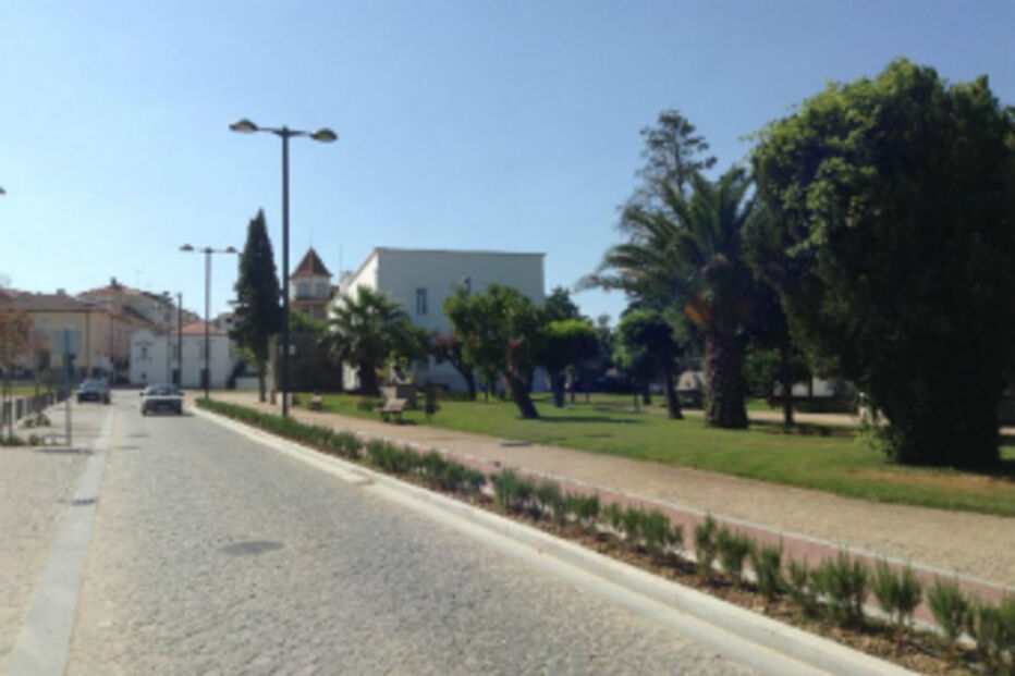 Detido, suspeito, tráfico humano, Alfândega da Fé