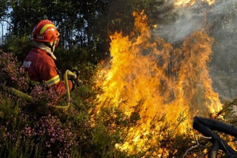 incêndios, bombeiros, fogos, Portugal, Proteção Civil, ocorrências, incêndios florestais, Sertã, Arganil, Várzea dos Cavaleiros, Piódão, Mexilhoeira Grande