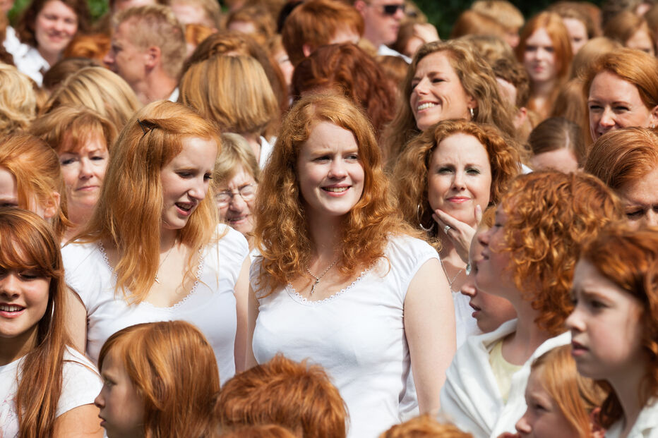 ruivos, extinção, gene recessivo, comunidade