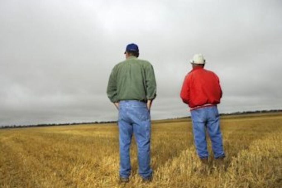 PJ, tráfico de pessoas, escravidão, crime, operação portugal total