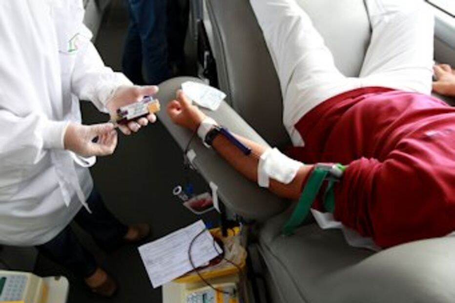 sangue, técnicos, Instituto Português do Sangue, dadores, reservas