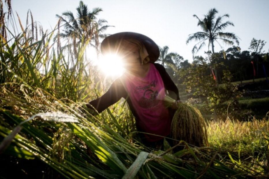 Cheias, El Nino, Meteorologia, Secas
