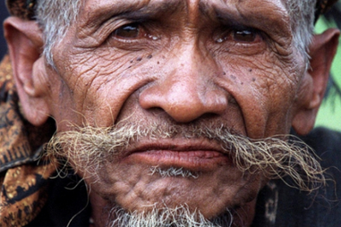 Cultura, Fotografia, exposição, António Cotrim, 'Rostos de Timor'