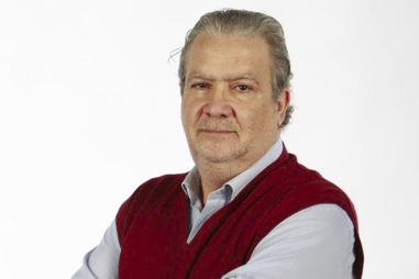 TV & Media, Manuel Falcão, audiências, O Observador