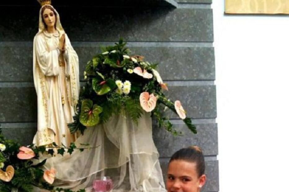 Fotogaleria da família Aveiro