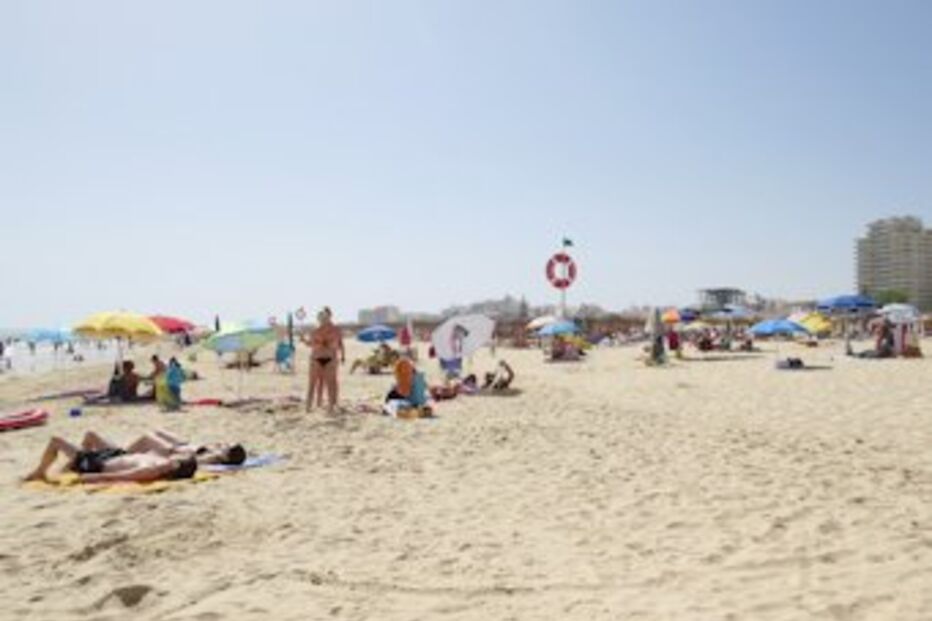 fardo, palha, 35kg, droga, haxixe, praia, algarve