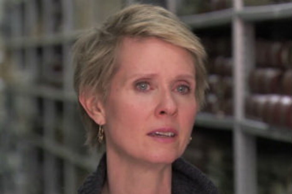 Cynthia Nixon, O Sexo e a Cidade, atriz, descobre, tetravó, homicida, machadada, EUA, TLC, programa, genealogia