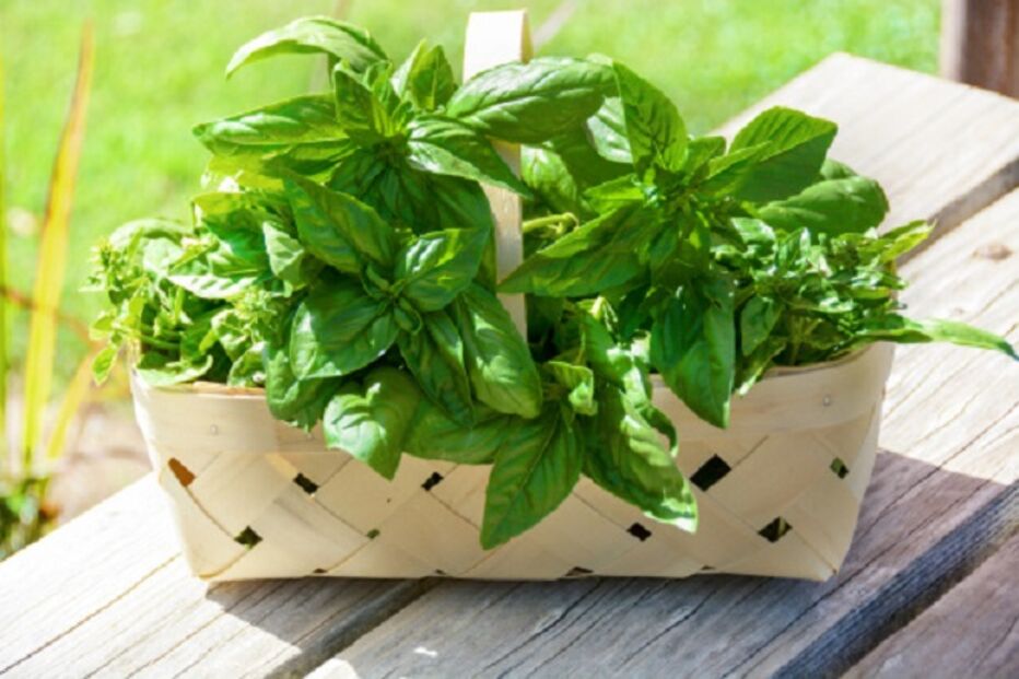 alimentação, alimentos, dormir, comer, serotonina, hormona, sono