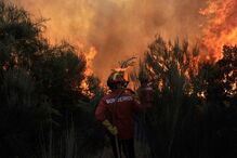 Alentejo, incêndio, ameaça, casas, Montalvão, Nisa,