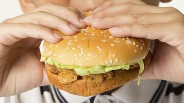 comida, plástico, fast food, junk food, hamburguer