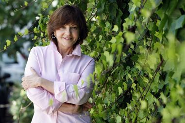 TV Media, novelas, ficção nacional, entrevista, Rosa do Canto