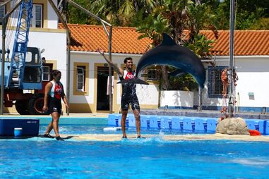 TV & Média, Rodrigo Soares, TVI