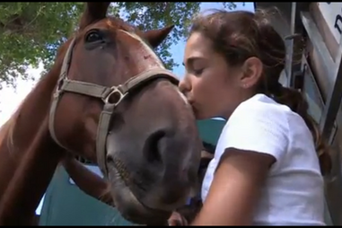 5º Concurso Hípico de S. João das Lampas