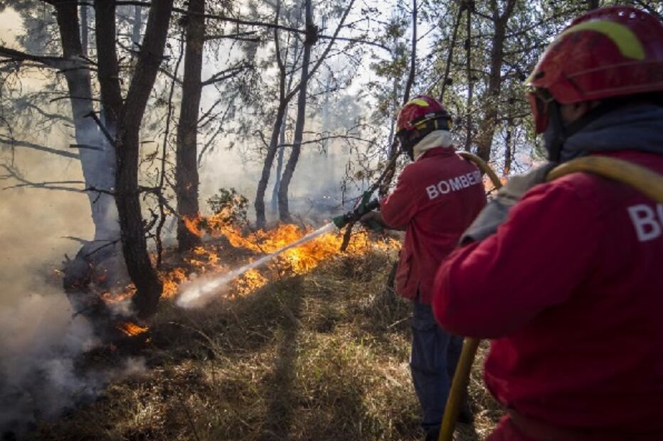 cmtv, incêndio, florestal, labaredas