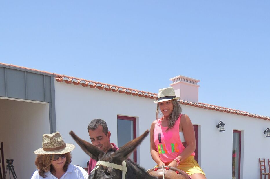 mudar de vida, Algarve, turismo rural