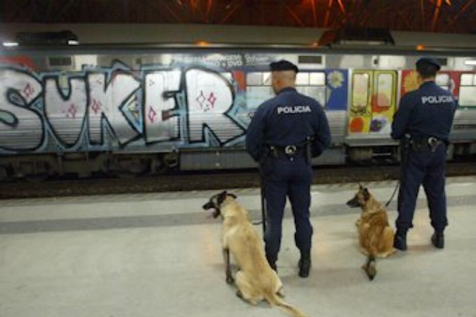 gangs, rivais, confronto, agressão, estação, mercês, Sintra, comboio