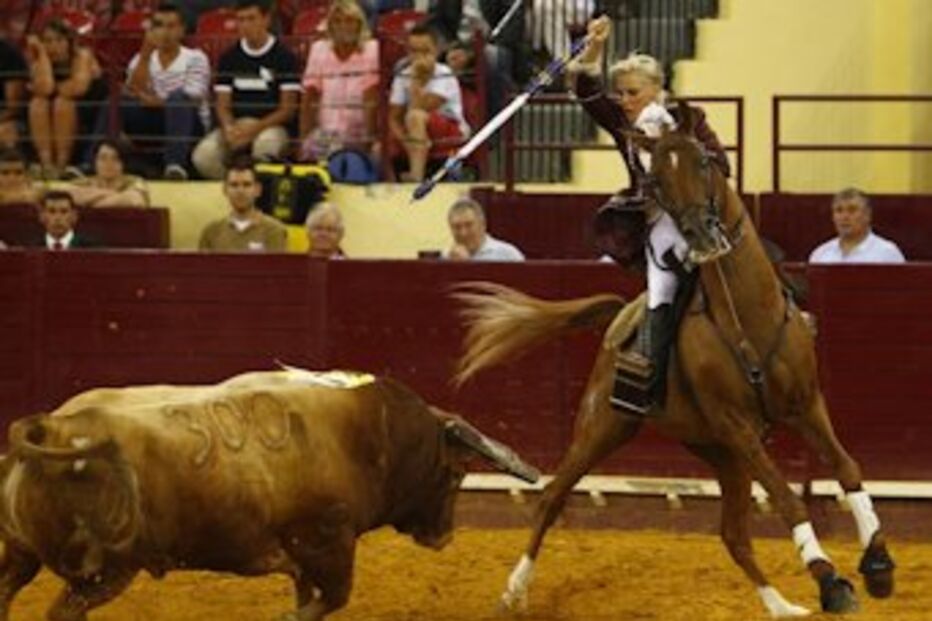Figueira da Foz, arena, touros