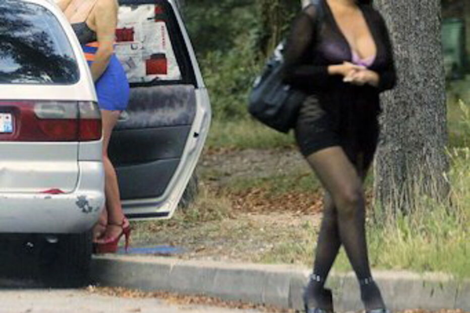 prostitutas, lixo, Albergaria-a-Velha, GNR, Sobreiro, crimes ambientais