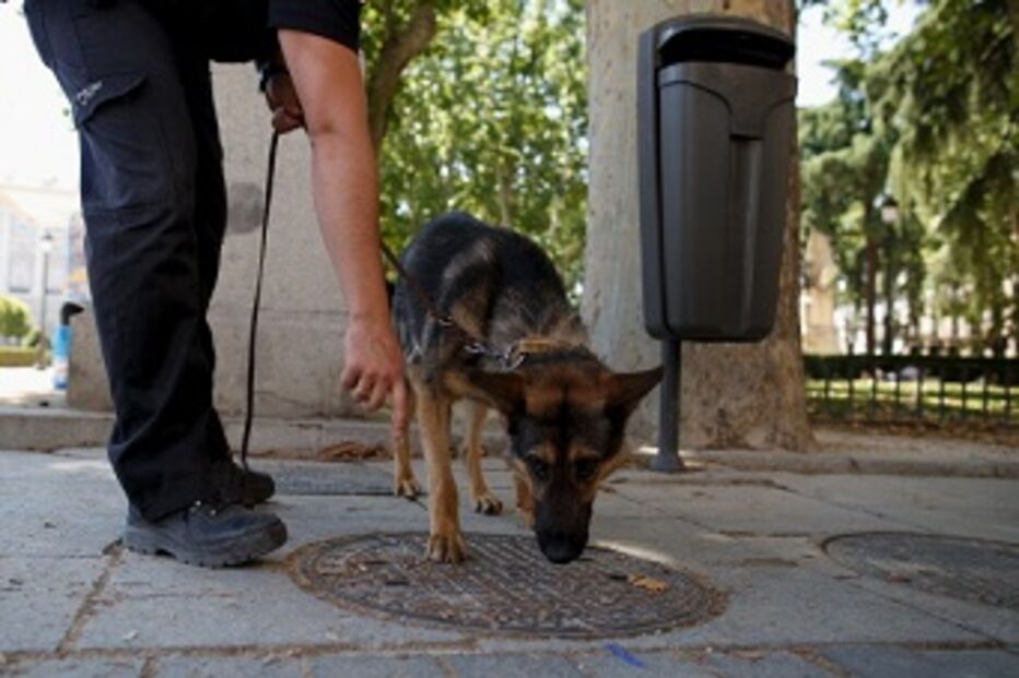 polícia espanhola, espanha, investigação, caso, agressão sexual, sexo, pedófilo, rapto, menina, madrid, fontes, polícia, agressor, menores, Pinar del Chamartín