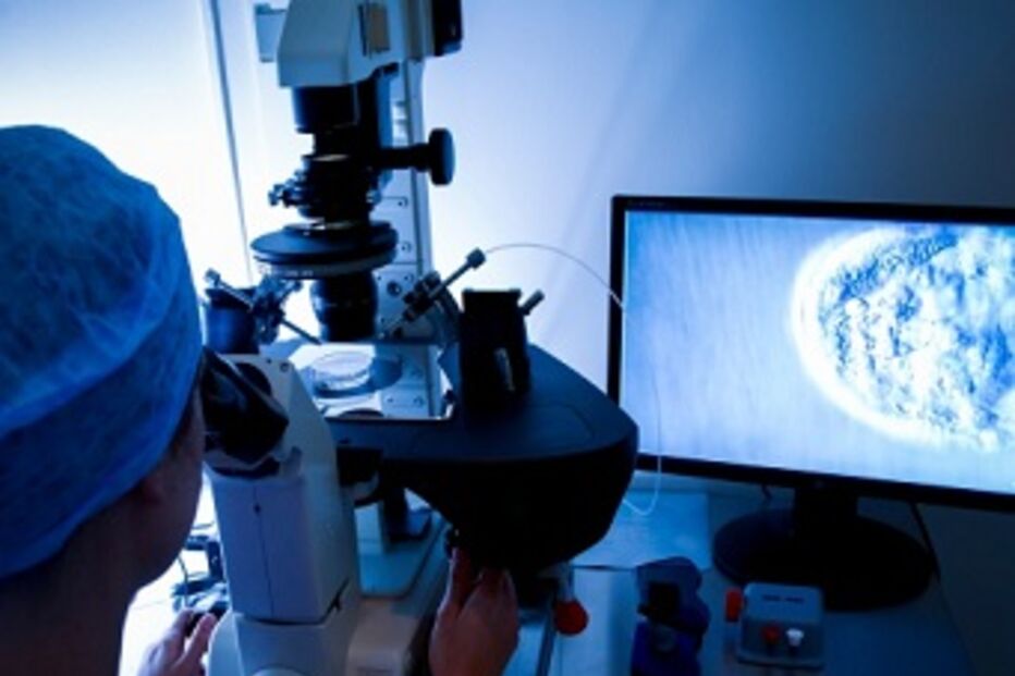 reino unido, doadores, esperma, filhos, britânicos, Human Fertilisation and Embryology Authority, HFEA